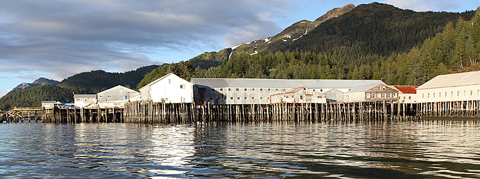 cordova-alaska-plant.jpg