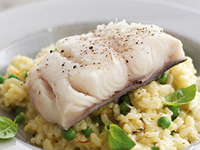 asmi-cod-risotto-sm.jpg asmi-cod-risotto-sm.jpg