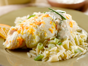 citrus-alaska-sole-with-a-tahini-drizzle-sm.jpg