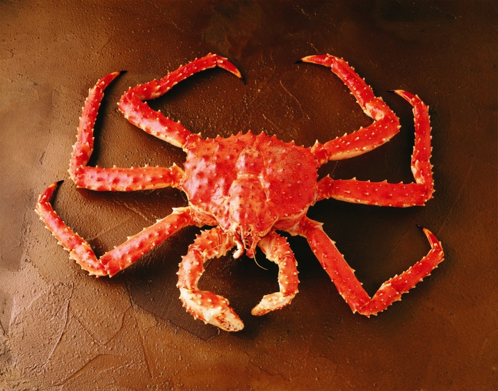 crs-img-mkt-king-crab-whole.jpg