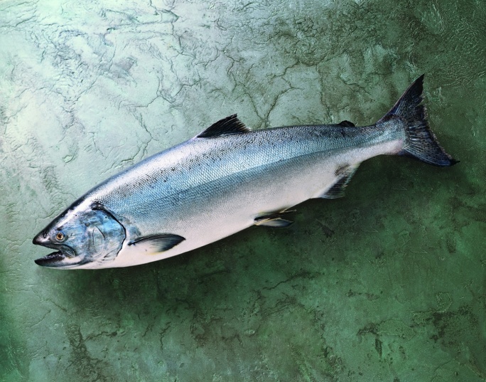 crs-img-mkt-king-salmon-whole.jpg